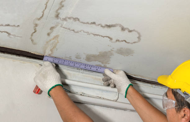 Affordable Structural Drying solutions in Springville, VA